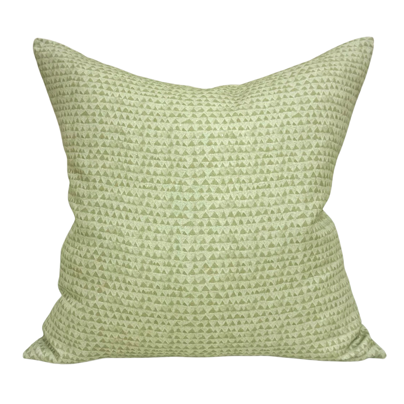 Honeydew Shark Bite Throw Pillow