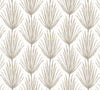 Lumbar in Palm Parade