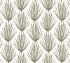 Lumbar in Palm Parade