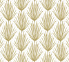 Lumbar in Palm Parade