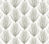 Lumbar in Palm Parade