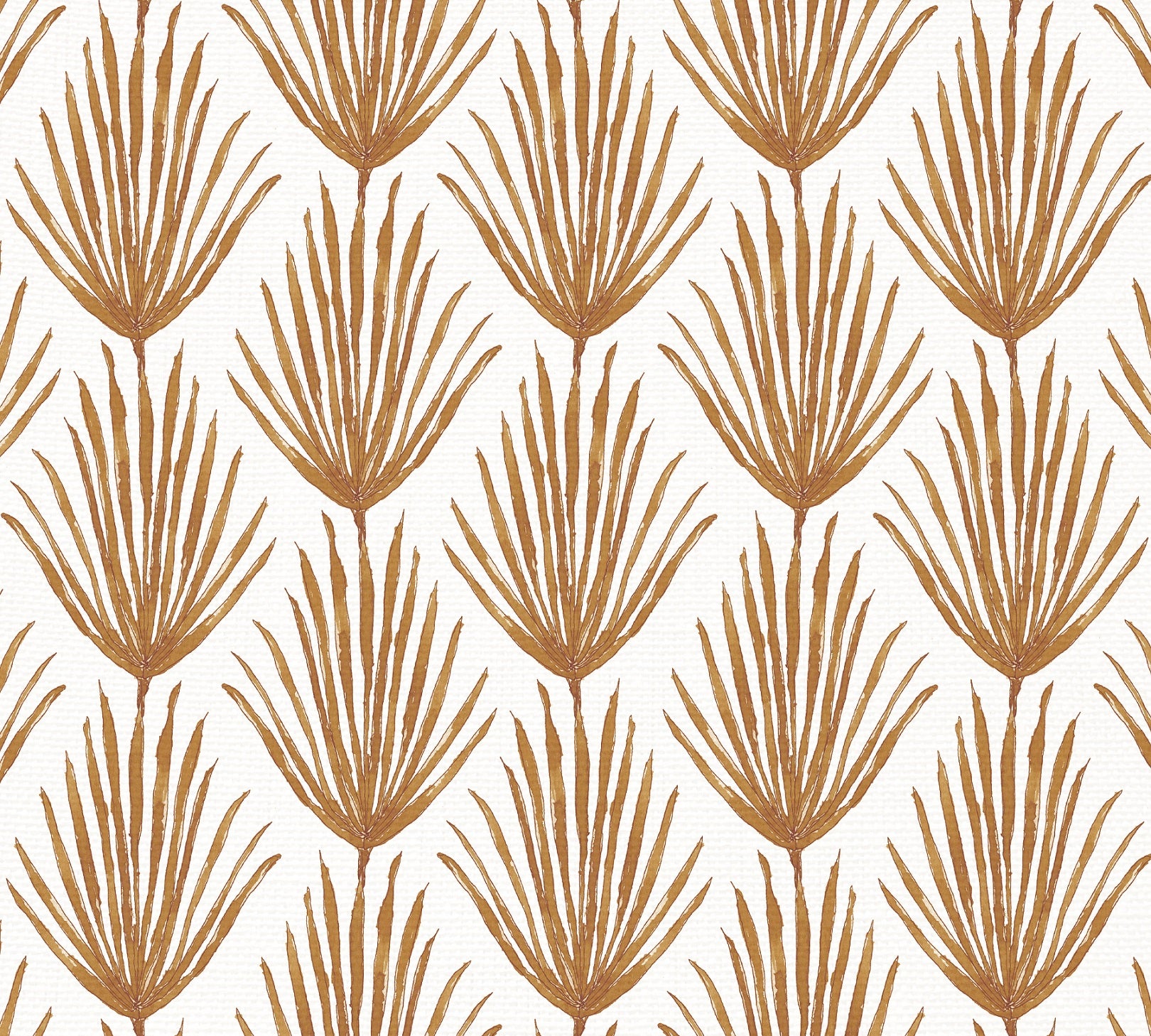 Lumbar in Palm Parade