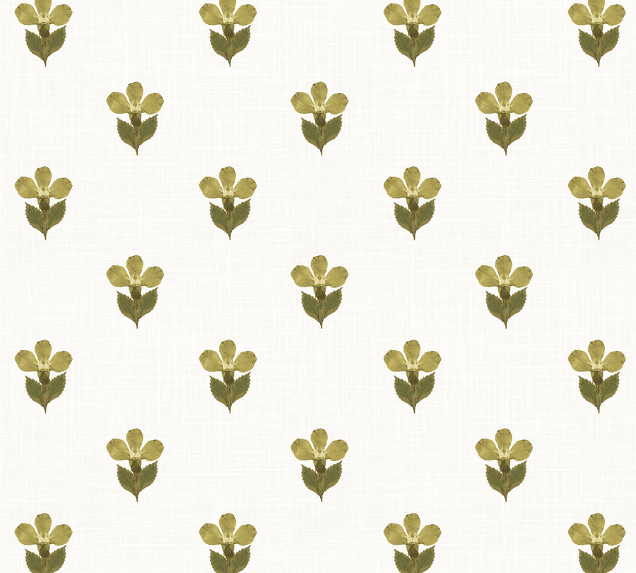 Pillow in Pressed Petunia