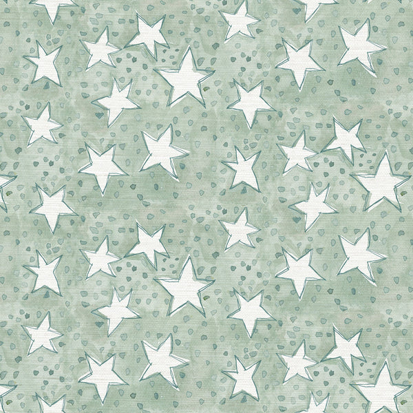 Oh My Stars Grasscloth Swatches