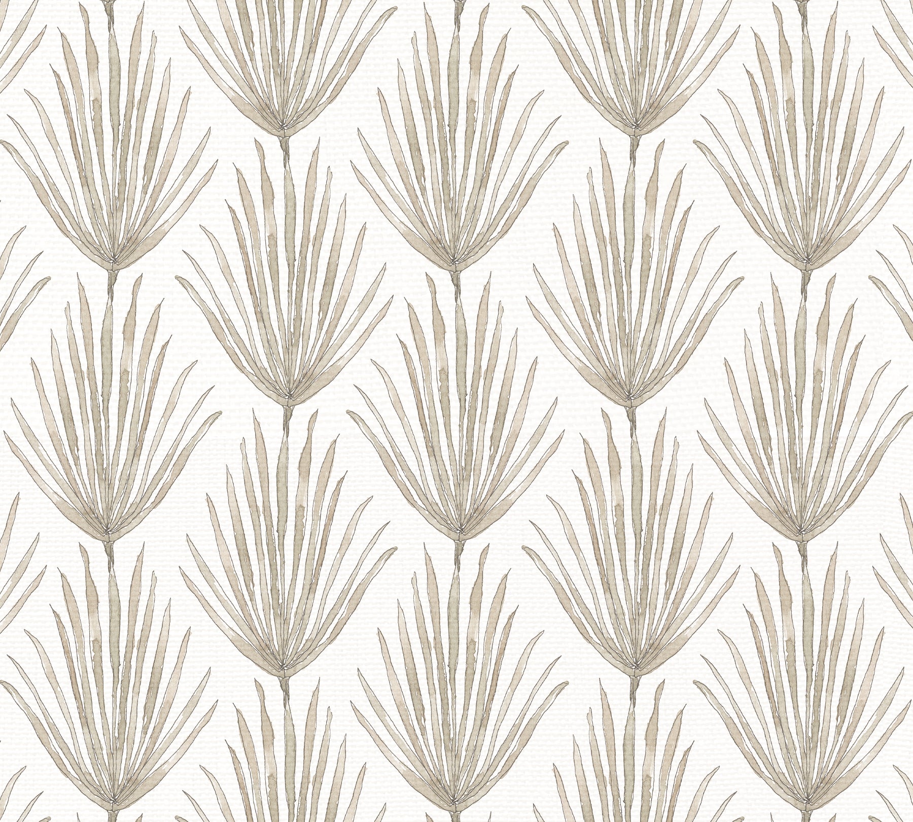 PALM PARADE