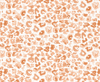 PEPPY LEOPARD