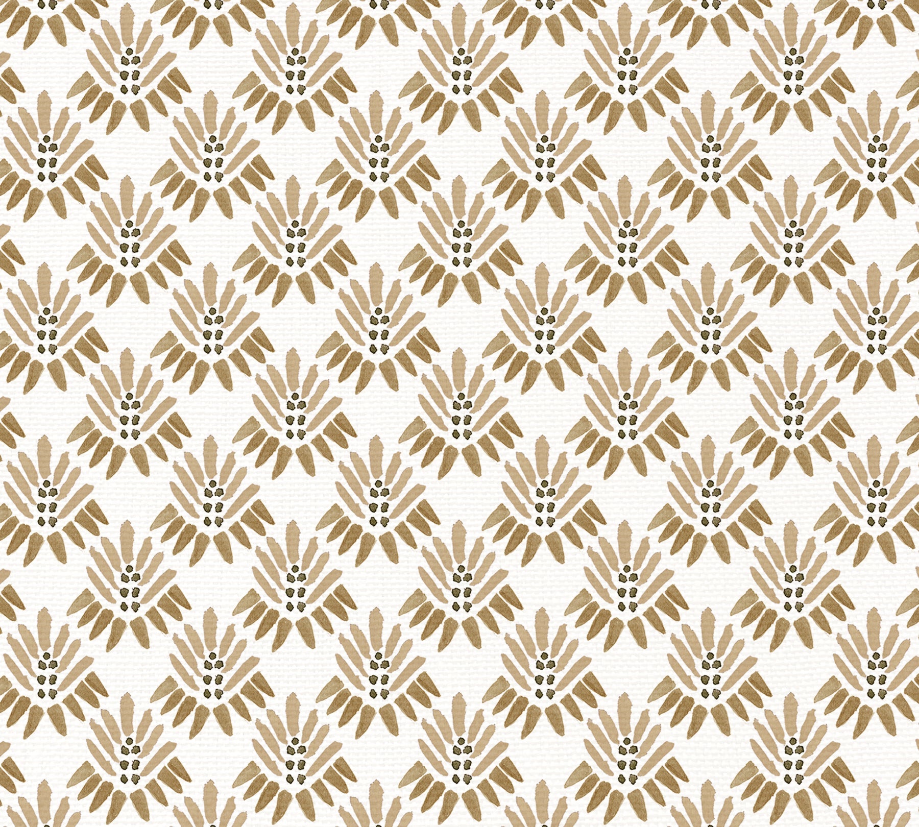 SALVIA