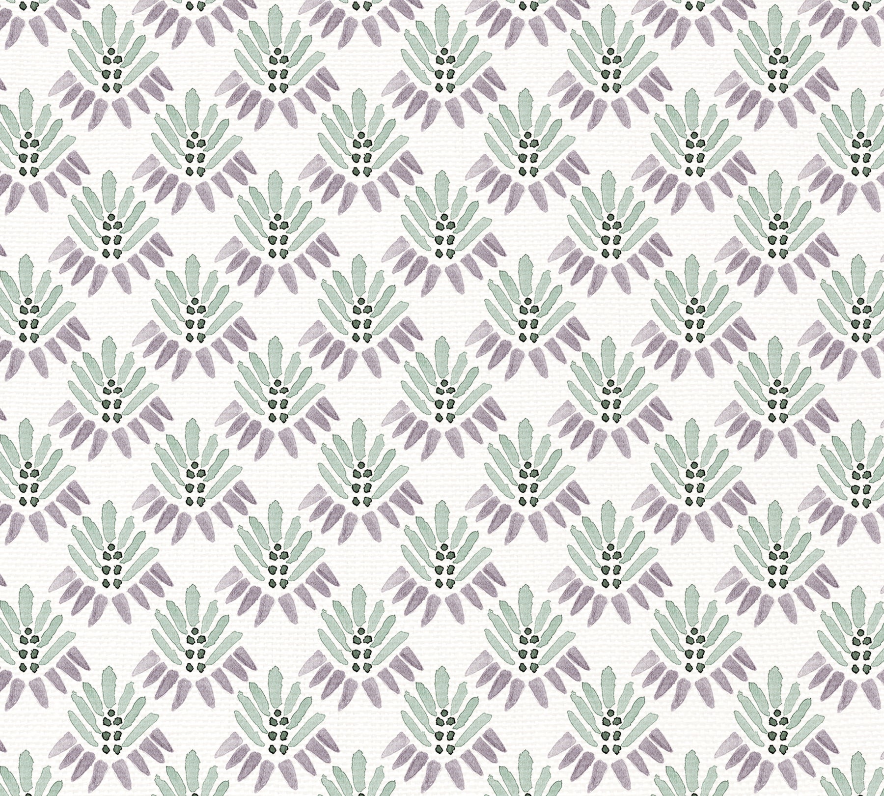 SALVIA
