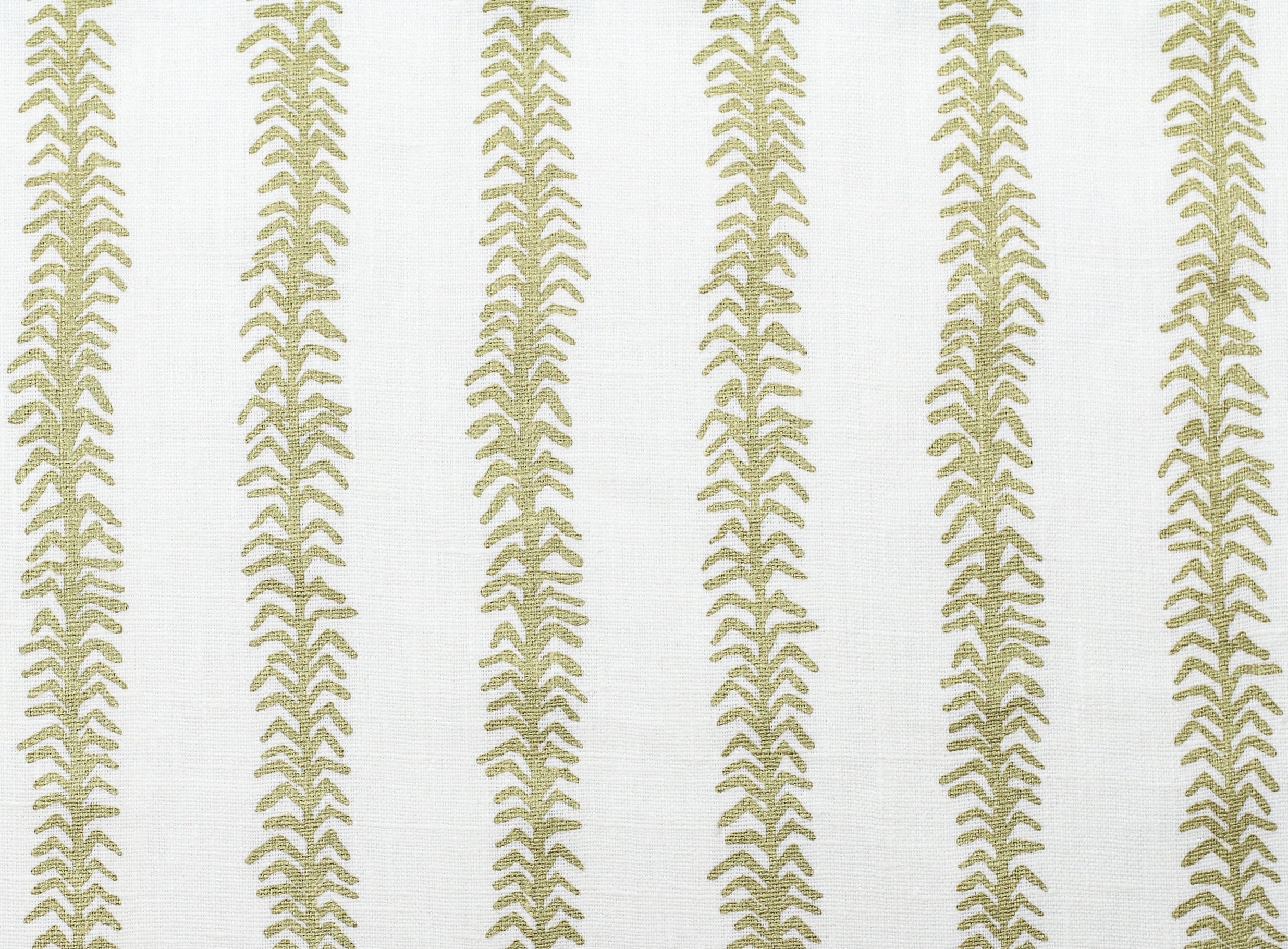 Gilded Ivory