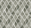 WINDOWPANE